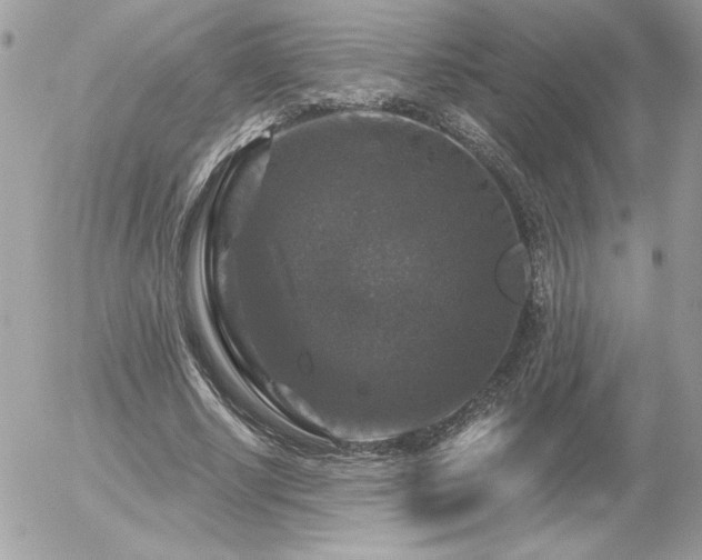 X0000056330634200508261221