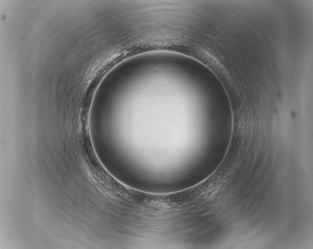 X0000056330635200508261221