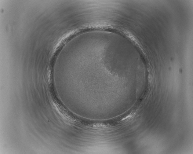 X0000056330636200508261221