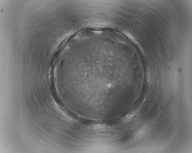 X0000056330637200508261221