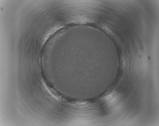 X0000056330638200508261221