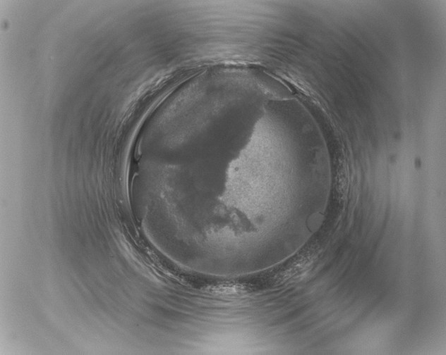 X0000056330639200508261221