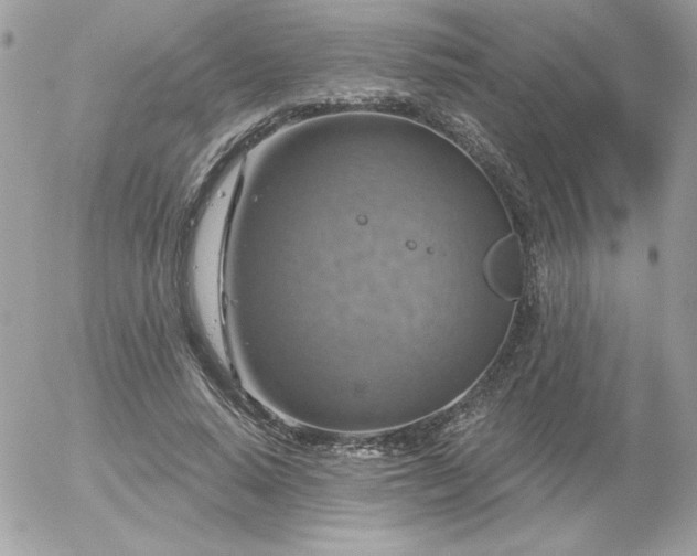 X0000056330640200508261221