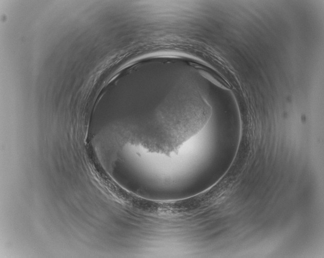 X0000056330641200508261221