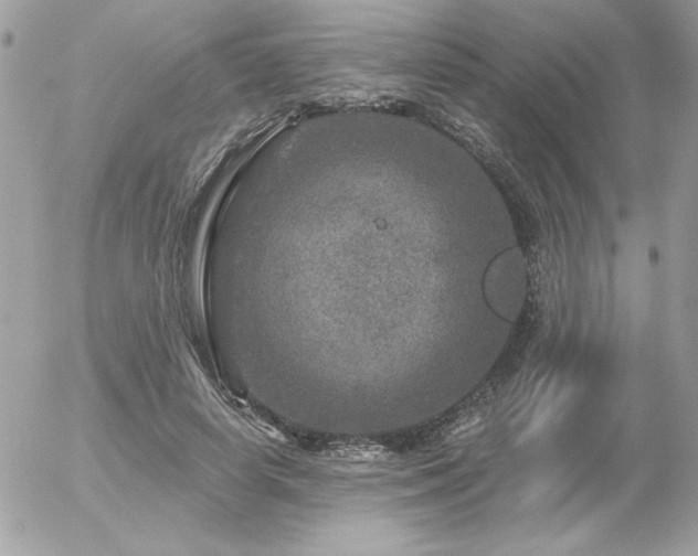 X0000056330642200508261221