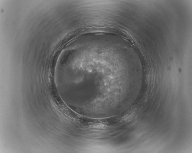 X0000056330643200508261221