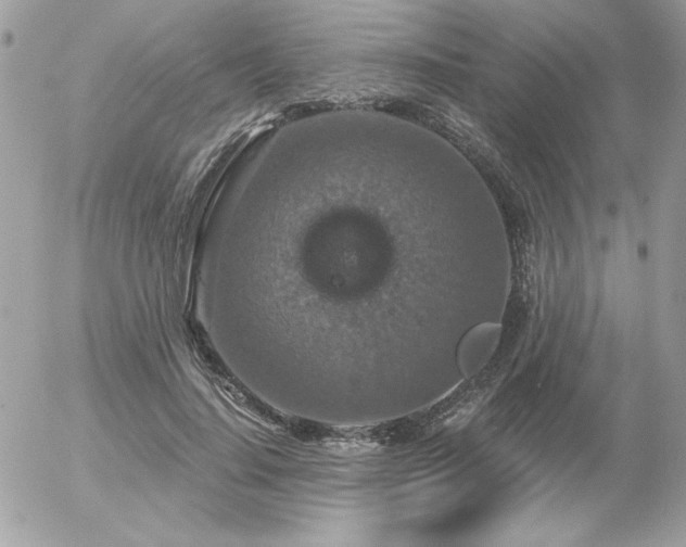 X0000056330644200508261221