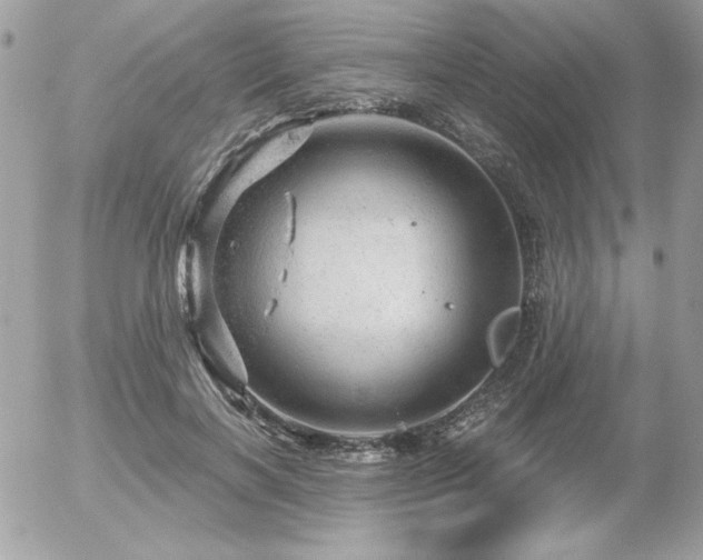 X0000056330646200508261221