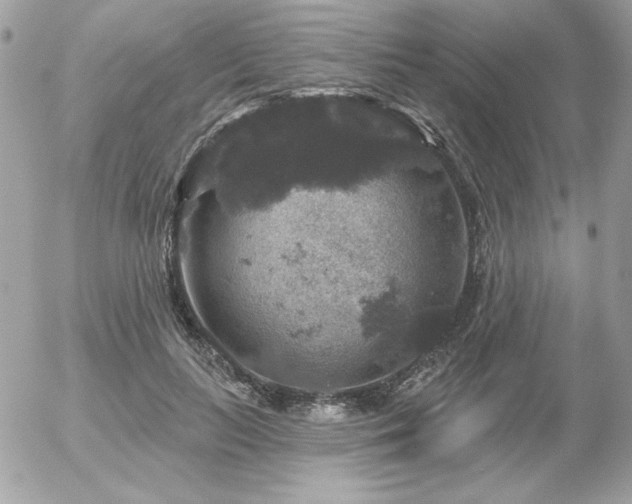 X0000056330647200508261221