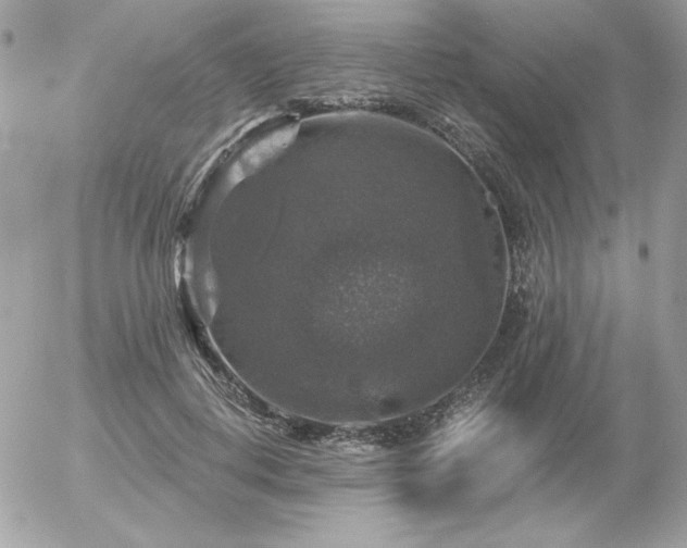 X0000056330648200508261221