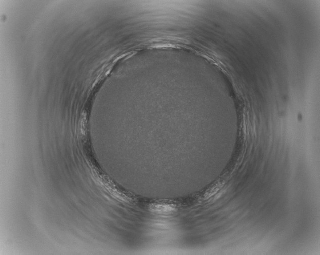 X0000056330649200508261221