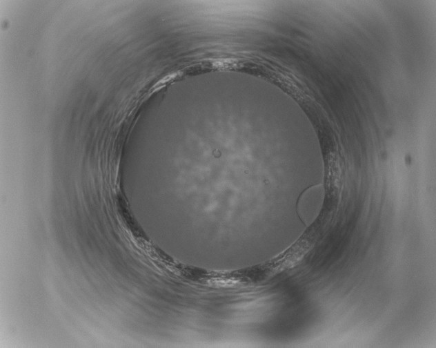 X0000056330650200508261222