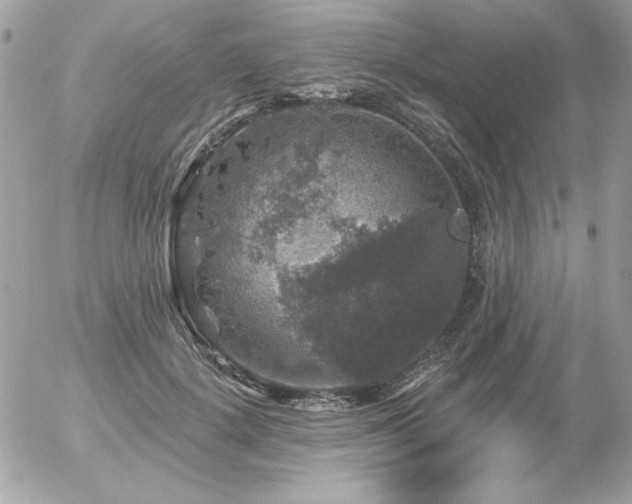 X0000056330652200508261222