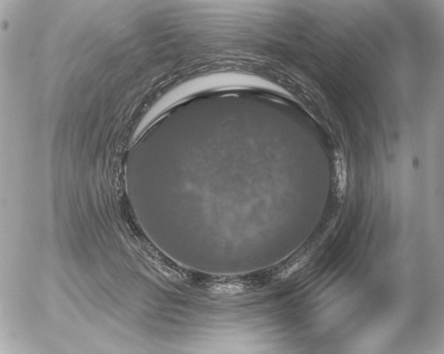 X0000056330653200508261222