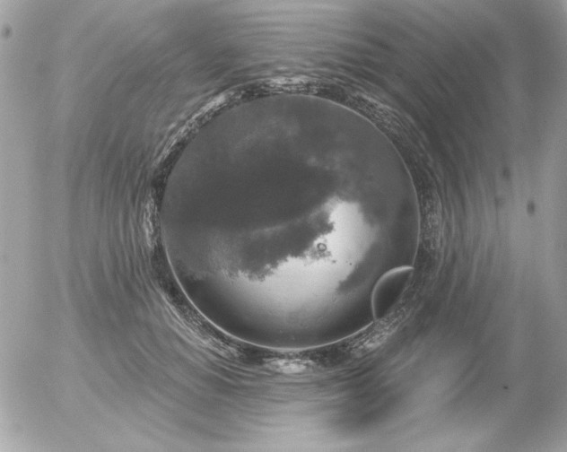 X0000056330654200508261222