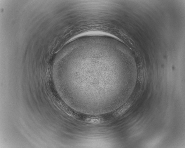 X0000056330655200508261222