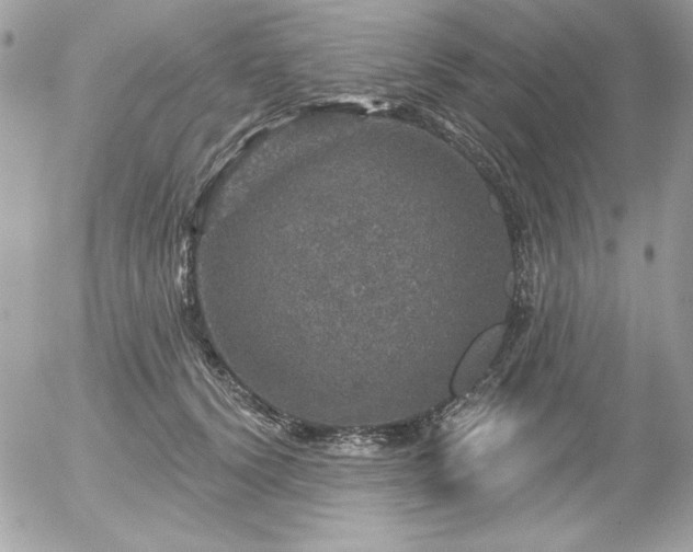 X0000056330656200508261222