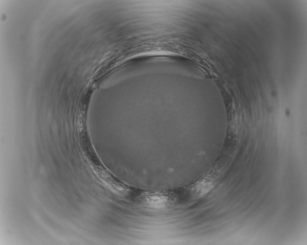 X0000056330658200508261222