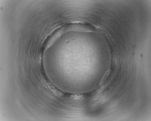 X0000056330660200508261222