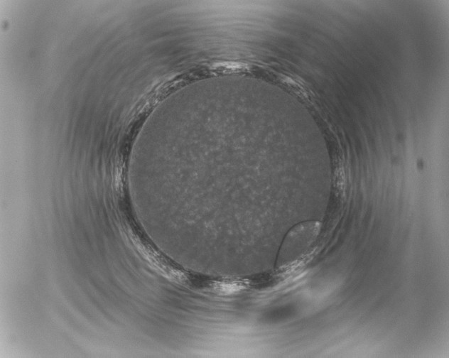 X0000056330662200508261222