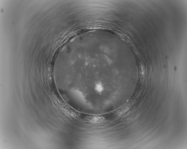 X0000056330663200508261222