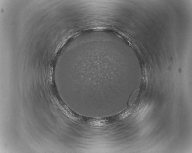 X0000056330664200508261222