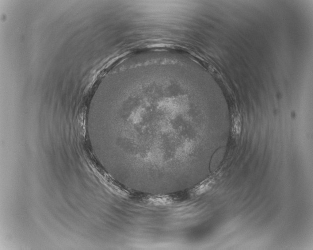 X0000056330666200508261222