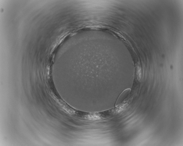 X0000056330668200508261222