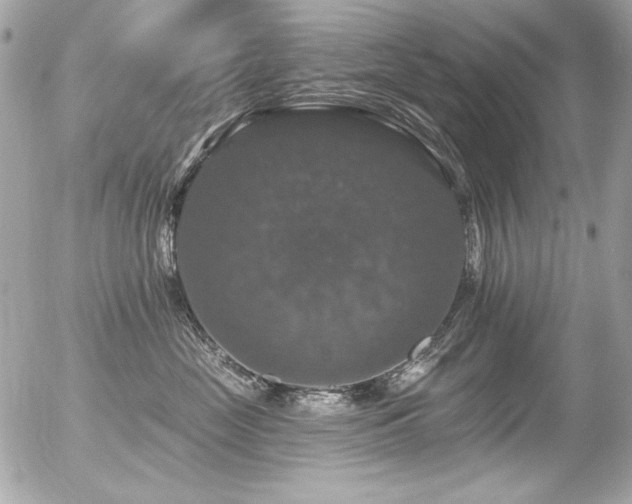 X0000056330669200508261222