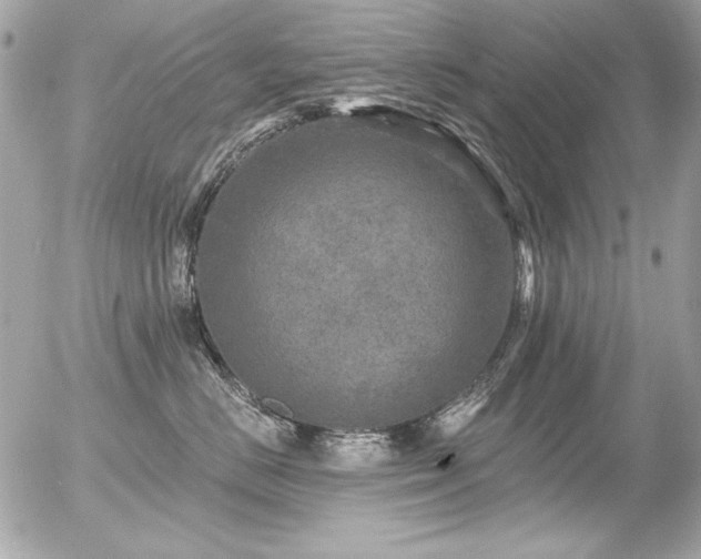 X0000056330670200508261222