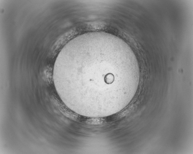 X0000056330672200508261222