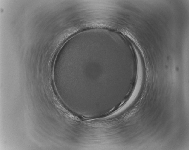 X0000056330673200508261221