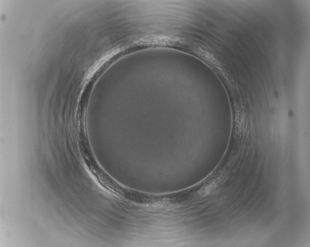 X0000056330674200508261221