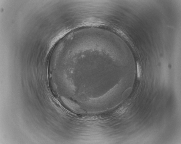 X0000056330675200508261221