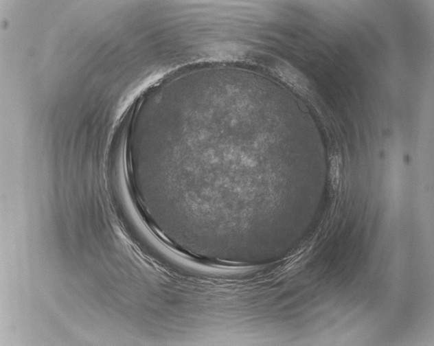 X0000056330676200508261221