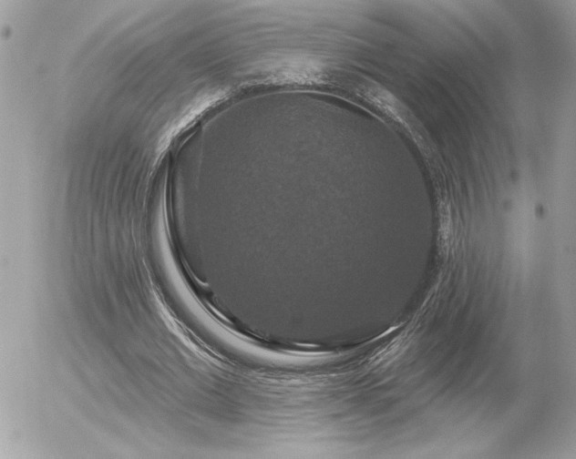 X0000056330677200508261221