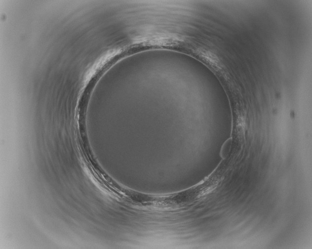 X0000056330678200508261221