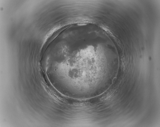 X0000056330679200508261221