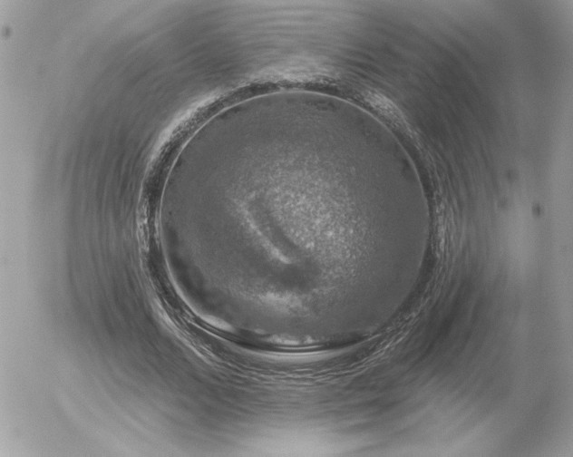 X0000056330680200508261221