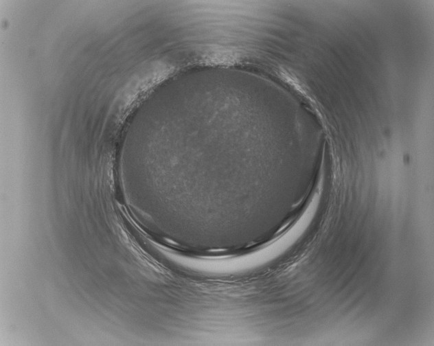 X0000056330681200508261221