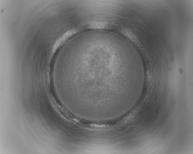 X0000056330682200508261221