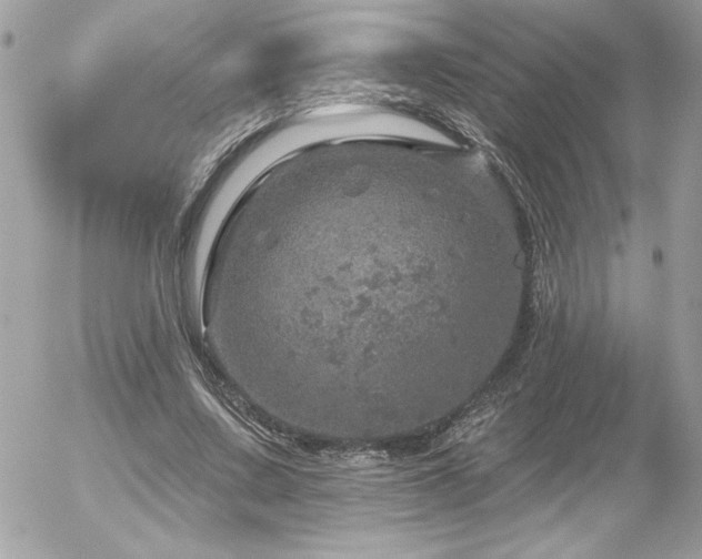 X0000056330683200508261221