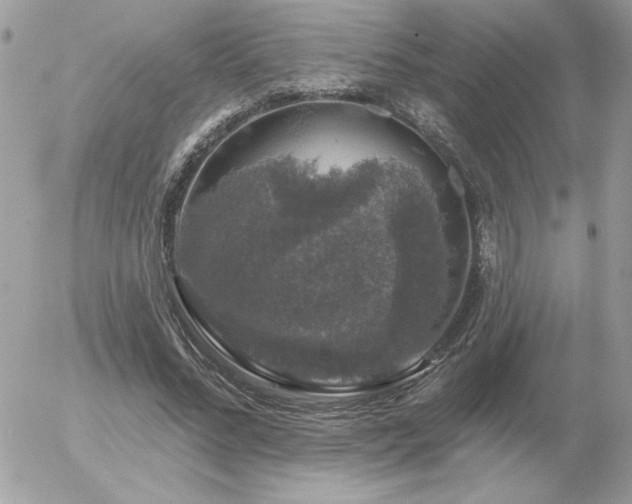 X0000056330684200508261221