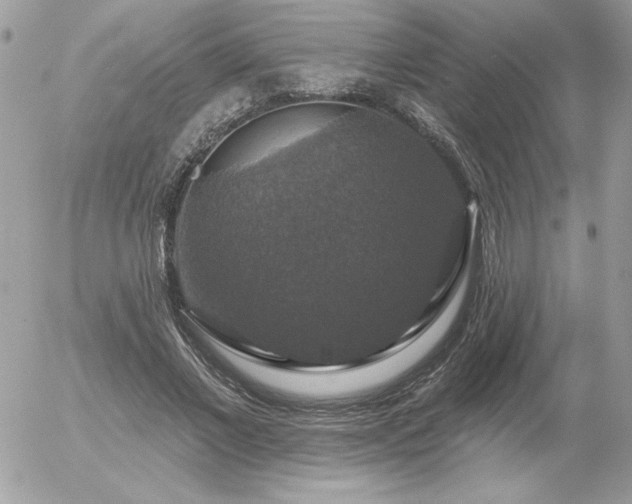 X0000056330685200508261221