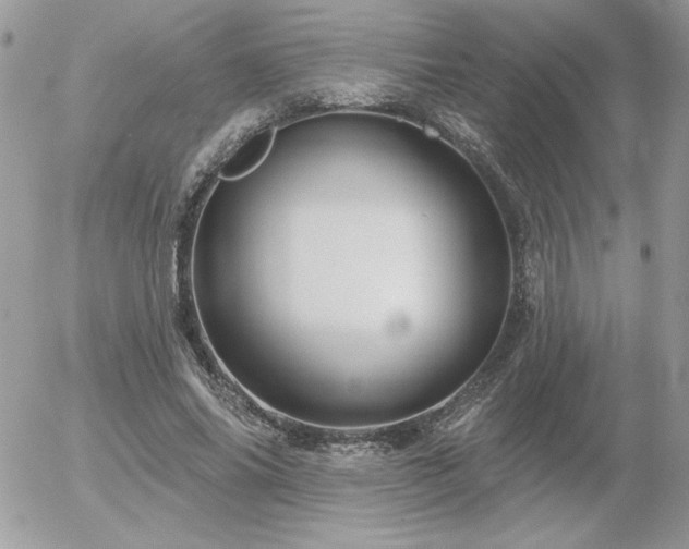 X0000056330686200508261221