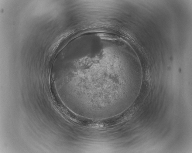 X0000056330687200508261221