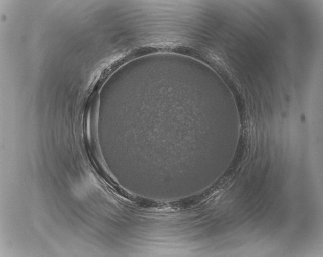 X0000056330688200508261221