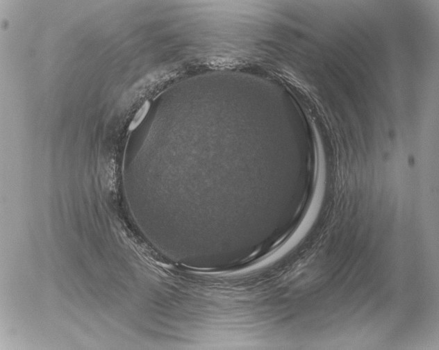 X0000056330689200508261221