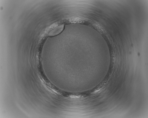 X0000056330690200508261221