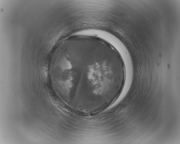 X0000056330691200508261221